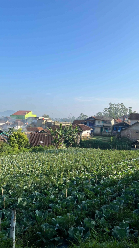 Sumber: Dokumentasi Pribadi