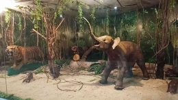 Gajah adalah ikon Lampung (dokpri)