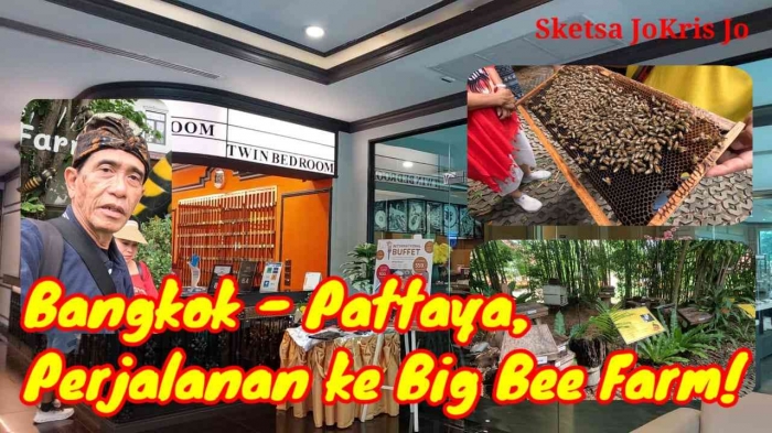 Sumber Foto : J.Krisnomo