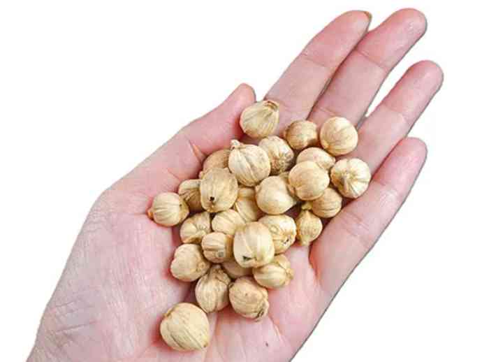 Manfaat yang Tersembunyi di Dalam Rimpang Kapulaga 3 Biji kapulaga, bagian yang paling sering dimanfaatkan untuk keperluan herbal dan bumbu dapur (dok foto: halodoc.com)