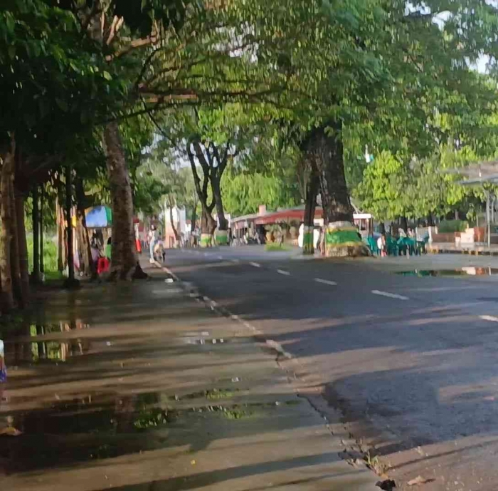Jalan rimba darma Kota Madiun. Baru saja diguyur hujan (dokumentasi pribadi: Isti Yogiswandani)