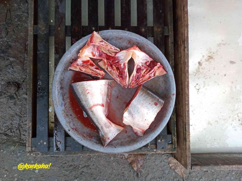 Ikan Patin Sungai yang Sudah Disiangi atau Dibersihkan | @kaekaha