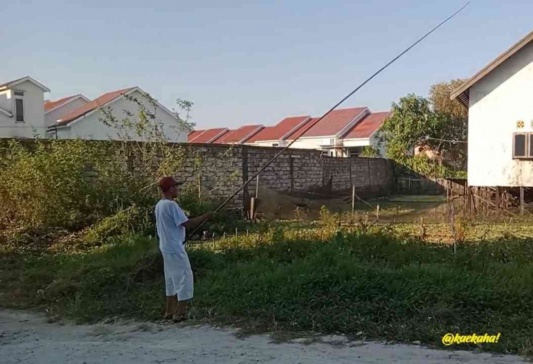 Maunjun Iwak Haruan di Rawa-rawa Belakang Rumah | @kaekaha