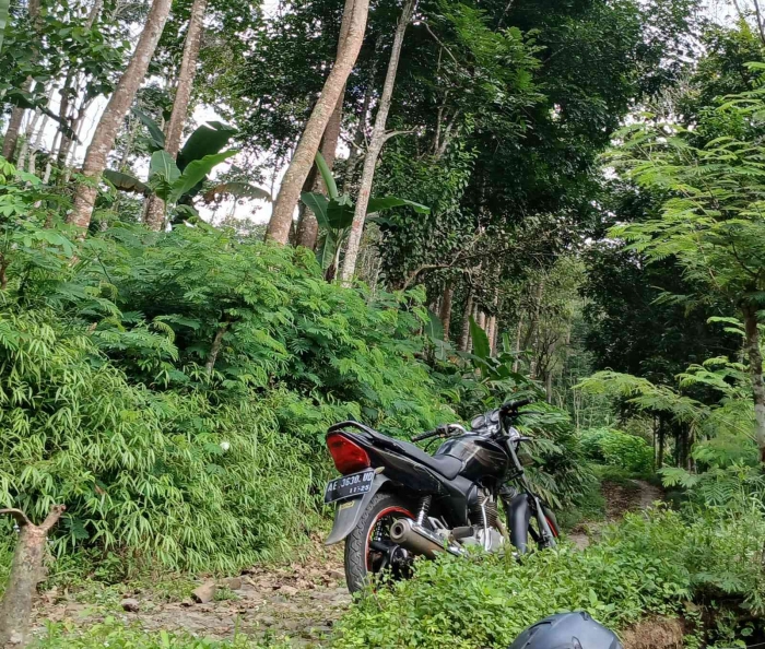 Medan ekstrem nya di bawah sana. Sedang atur nafas di dekat warung kopi untuk melanjutkan perjalanan (dokumentasi pribadi:Isti Yogiswandani)