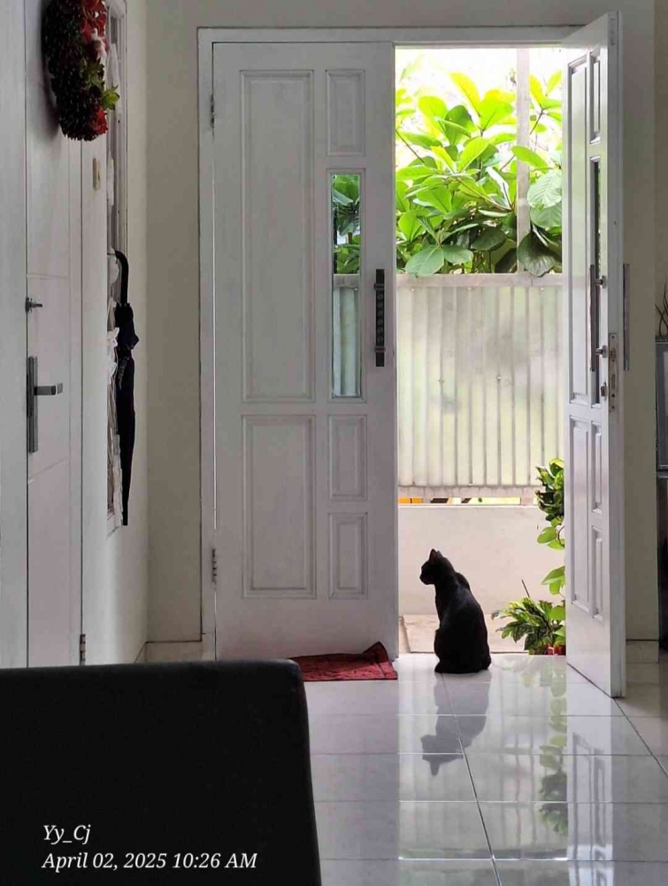 Si hitam penjaga rumah yang setia - Dok. Pribadi