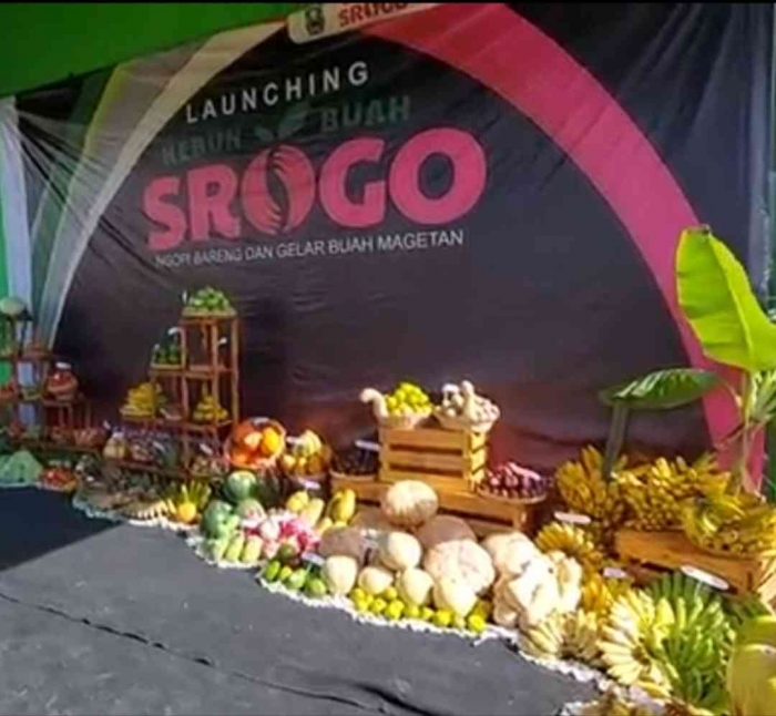 Wisata agro Srogo, Kabupaten Magetan (dokumentasi pribadi: Isti Yogiswandani)