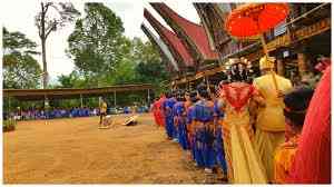 Torajah Communal Ritual Ritual Perkawinan Adat Suku Toraja - Kompasiana.com