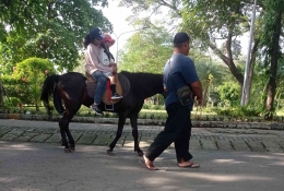 Pengunjung berkeliling Taman menaiki Kuda (Dok. Pribadi)