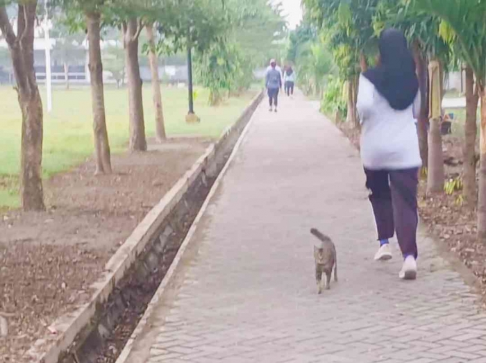 Ayuk Cing, kita balapan (dokumentasi pribadi: Isti Yogiswandani)