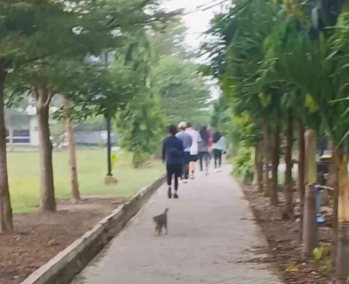 Kucingpun ikut jalan keliling lapangan, mengapa kita tidak? Rasakan manfaat nya(dokumentasi pribadi: Isti Yogiswandani)