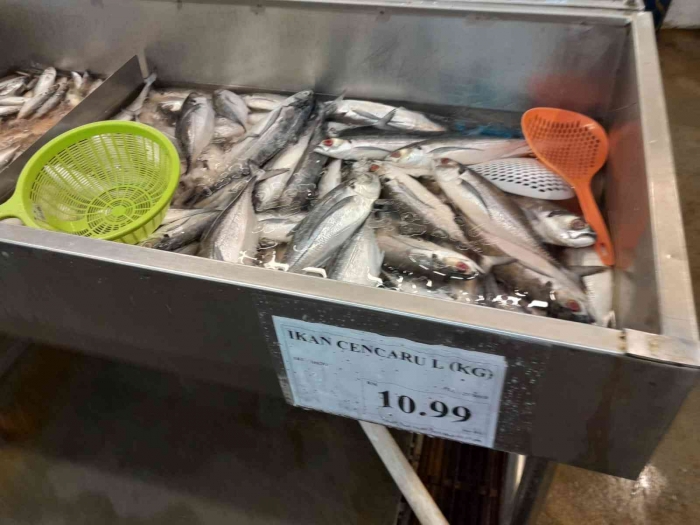 Ikan yang tersedia saat itu (dokpri)