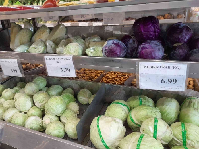 Aneka sayur (dokpri)