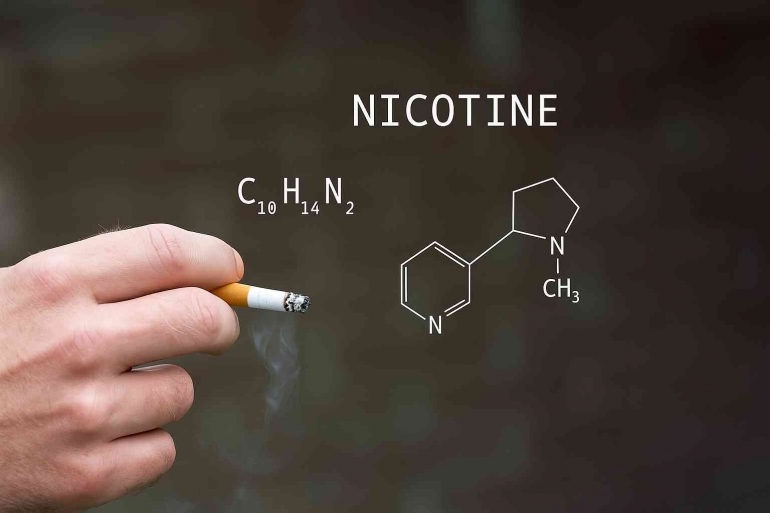 Nikotin Sticker Mengapa Nikotin Masih Menjadi Primadona di Balik Asap Rokok ? Halaman 1 ...