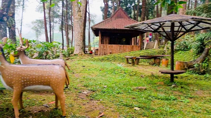 Ada gazebo dan payung yang bisa dimanfaatkan untuk duduk-duduk bersama keluarga atau bestie (dokumentasi pribadi: Isti Yogiswandani)