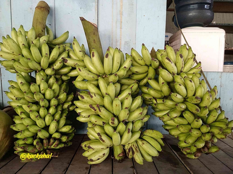 Buah Pisang Hasil Kebun | @kaekaha!