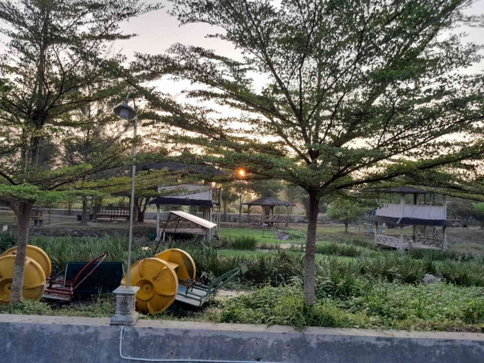 Matahari tampak dari sela-sela pepohonan (dokpri )