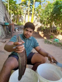 Lele sebesar ini pun bisa saling memakan, salah satunya karena kekurangan pangan sementara lele harus bertahan hidup (dok foto: Gregorius Nafanu)