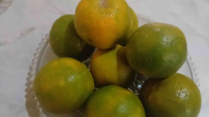 Jeruk keprok Tawangmangu (dokumentasi pribadi: Isti Yogiswandani)
