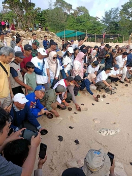 Pelepasliaran 30 tukik di Pantai Tanjung Penyu, Kabupaten Malang - Dok. malangkab.go.id