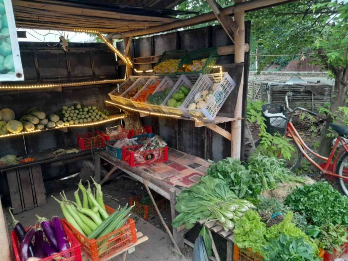 Ada rak sederhana tempat menaruh sayur (dokpri)