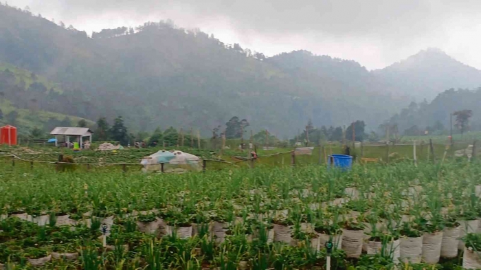 Bukit mongkrang terlihat samar tertutup kabut (dokumentasi pribadi: Isti Yogiswandani)