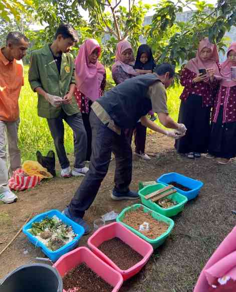 Praktik Budidaya Maggot BSF