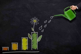 Ilustrasi investasi. PIXABAY/TUMISU