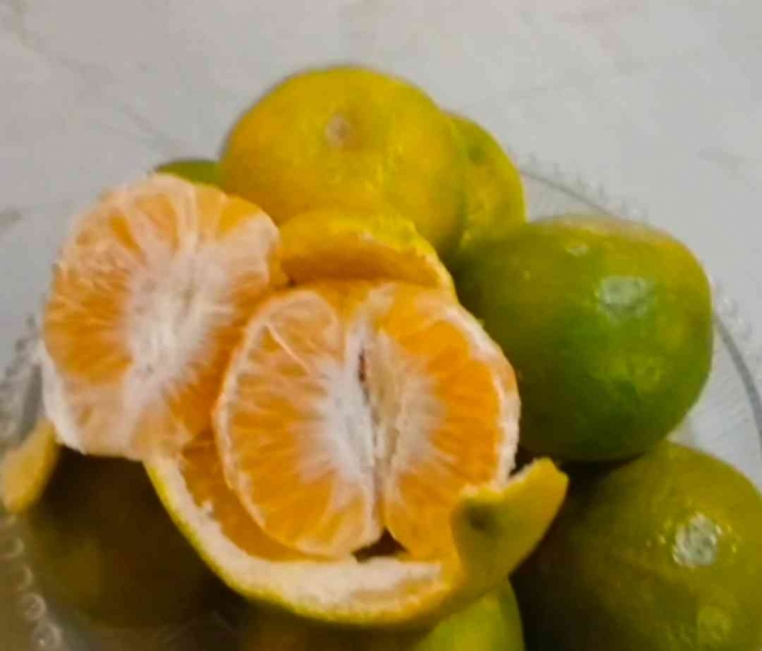 Jeruk keprok (Citrus Reticulata) | Dokumentasi pribadi: Isti Yogiswandani