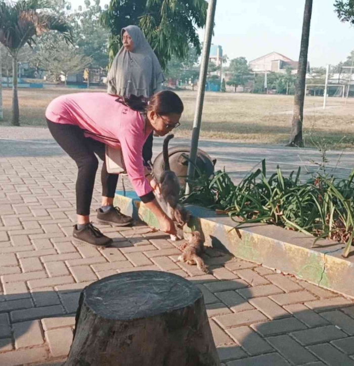 Memberi makan kucing-kucing yang hidup bebas di lapangan (Dokumentasi pribadi: Isti Yogiswandani)
