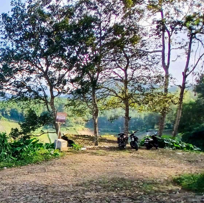 Sudut lain bumi perkemahan Tratasan (dokumentasi pribadi: Isti Yogiswandani)