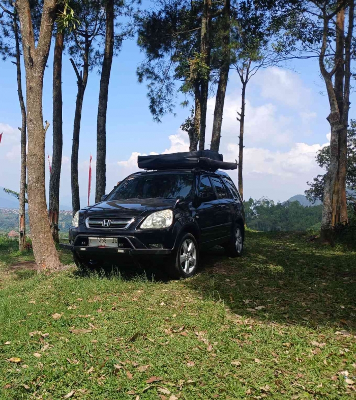 Saatnya turun dan pulang ke rumah. Semoga dia tetap bakoh dan tahan banting (dokumentasi pribadi|Isti Yogiswandani)