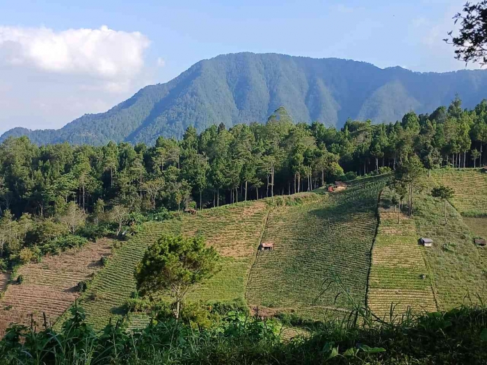 Keindahan yang terabaikan karena fokus mengendalikan laju kendaraan (dokumentasi pribadi|Isti Yogiswandani)