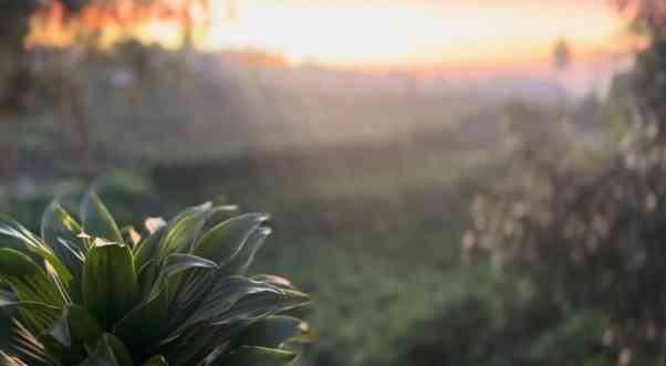 KKN Reguler UM Selotapak 2025 (Dokpri)