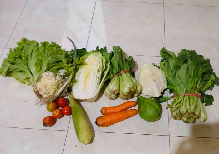 Serunya Pasar Obral Sayuran: 15 Ribu Dapat 11 Macam. Lumayan, hehehe... (Dokumentasi pribadi | Isti Yogiswandani)