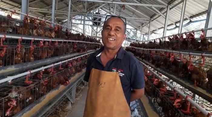 Herman Seran, banting stir dari tambang ke kandang (dok foto: Gregorius Nafanu)