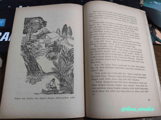 Sumber Foto: Dok. Pribadi / Dina Amalia (Koleksi Buku Lawas 1975 - Pohon Hias yang Unik)