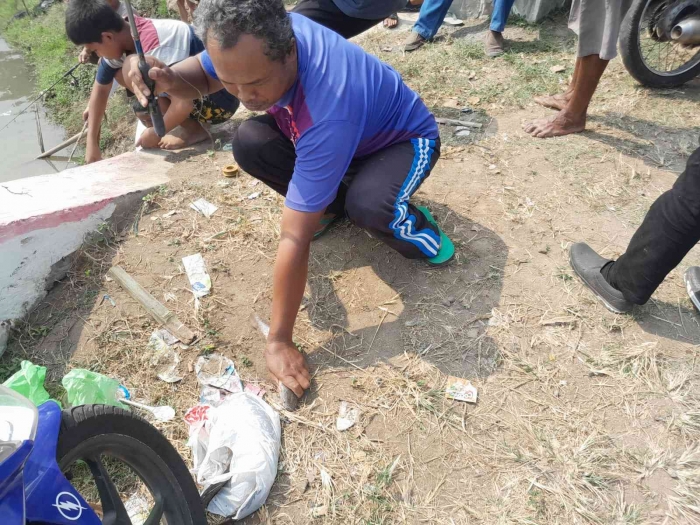 Ikan yang didapat segera ditangkap (dokpri)