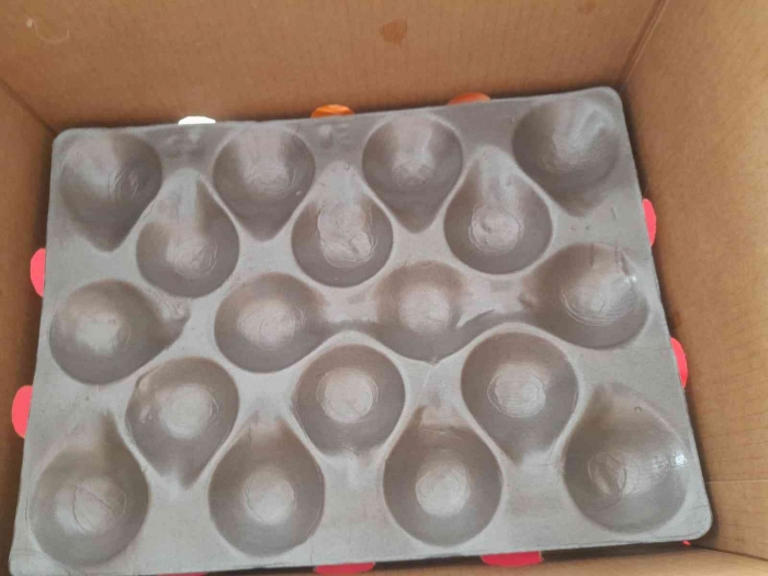 Makanan sudah habis (dokpri)