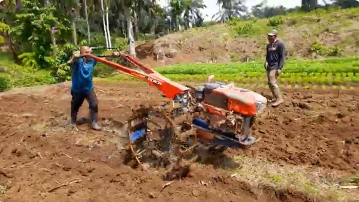 Belajar menggunakan hand tractor untuk membajak ladang (Dokumentasi pribadi Gregorius Nafanu)