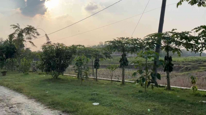 Dokumentasi Turus Jalan Desa Sarirejo, Ngaringan, Grobogan (29/08/2025) (Sumber: YouTube desa sarirejo)