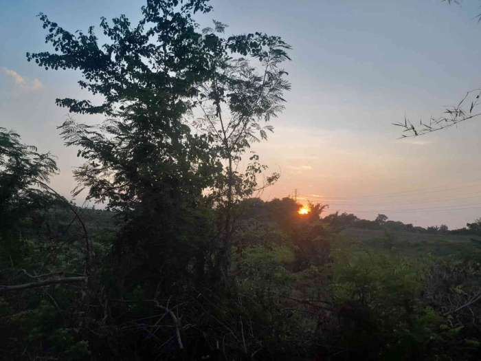 Warna keemasan matahari baru terbit (dokpri)