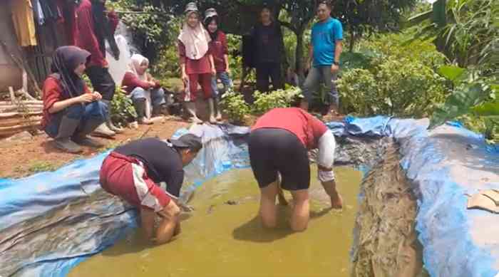 Mendapat kesempatan panen lele di kolam ikan Mas Agung (dok foto: Gregorius Nafanu)