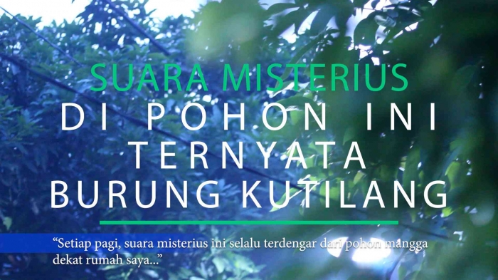 Suara misteri dipagi hari.(Sumber: Dokumen Pribadi)