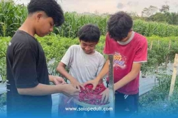 dok.humas: Cabai keriting tampar yang dipanen oleh para santri
