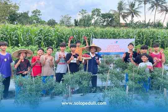 dok.humas: Panen Raya Cabai Pondok Pesantren Baiturrahmah Solopeduli bersama CEO SOLOPEDULI dan para santri