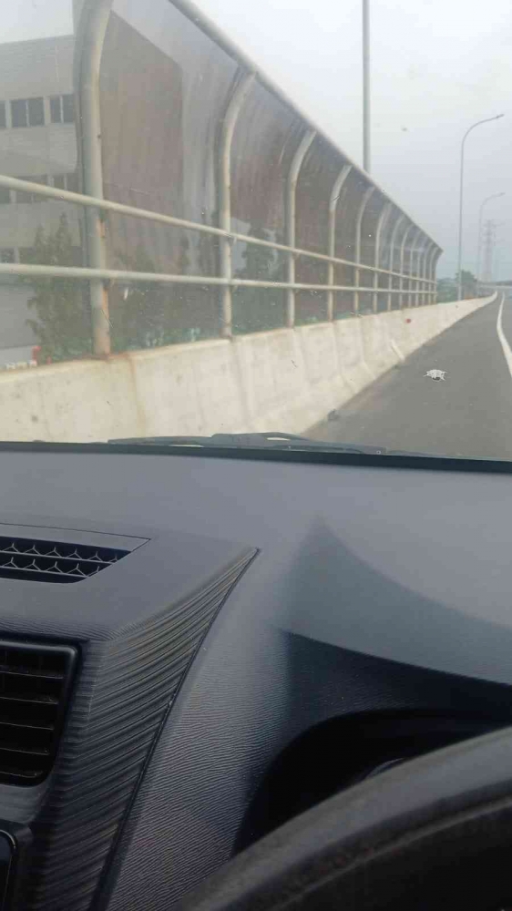 Omjay mrnrpi di bahu jalan tol becakayu/dokpri