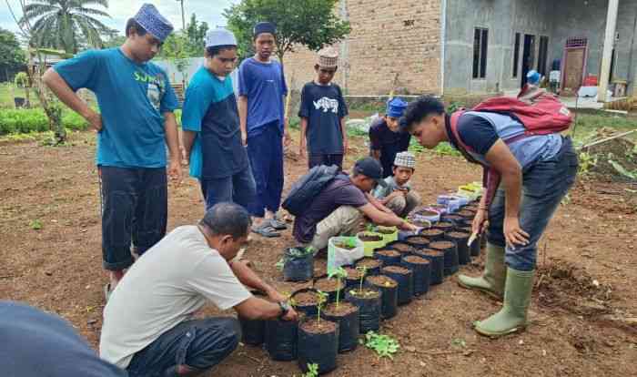 Para santri Ponpes Almahmudi belajar budidaya tanaman sayuran (dok foto: Gregorius Nafanu