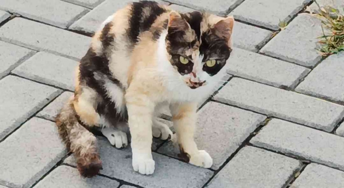 Akhirnya Si Kembang telon mau menatap ku(Dokumentasi pribadi: Isti Yogiswandani)