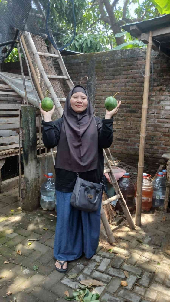 Alpukat Markus (Dokumentasi pribadi: Isti Yogiswandani)