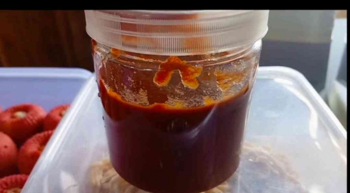 Pasta tomat (Dokumentasi pribadi: Isti Yogiswandani)